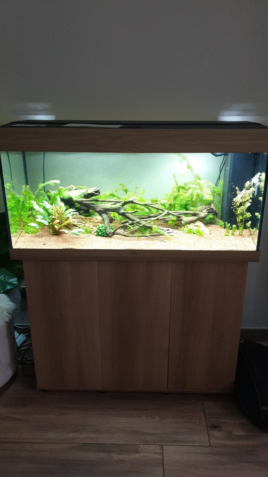 Lots aquarium, JBL, Pompe, Enlèvement, Utilisé