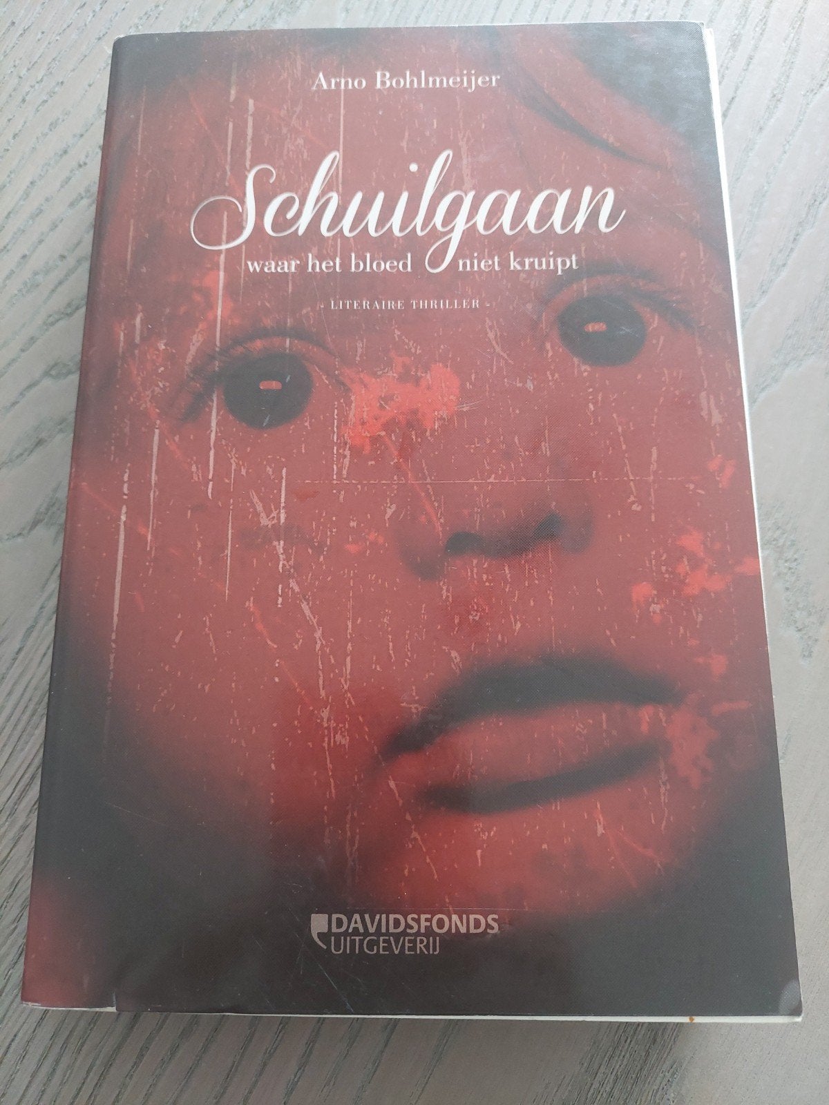 Boek - Arno Bohlmeijer - Schuilgaan - triller, Livres, Thrillers, Enlèvement ou Envoi