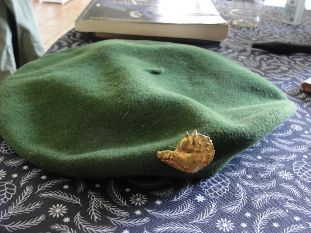 chasseurs ardennais, Collections, Enlèvement ou Envoi, Armée de terre, Casque ou Béret