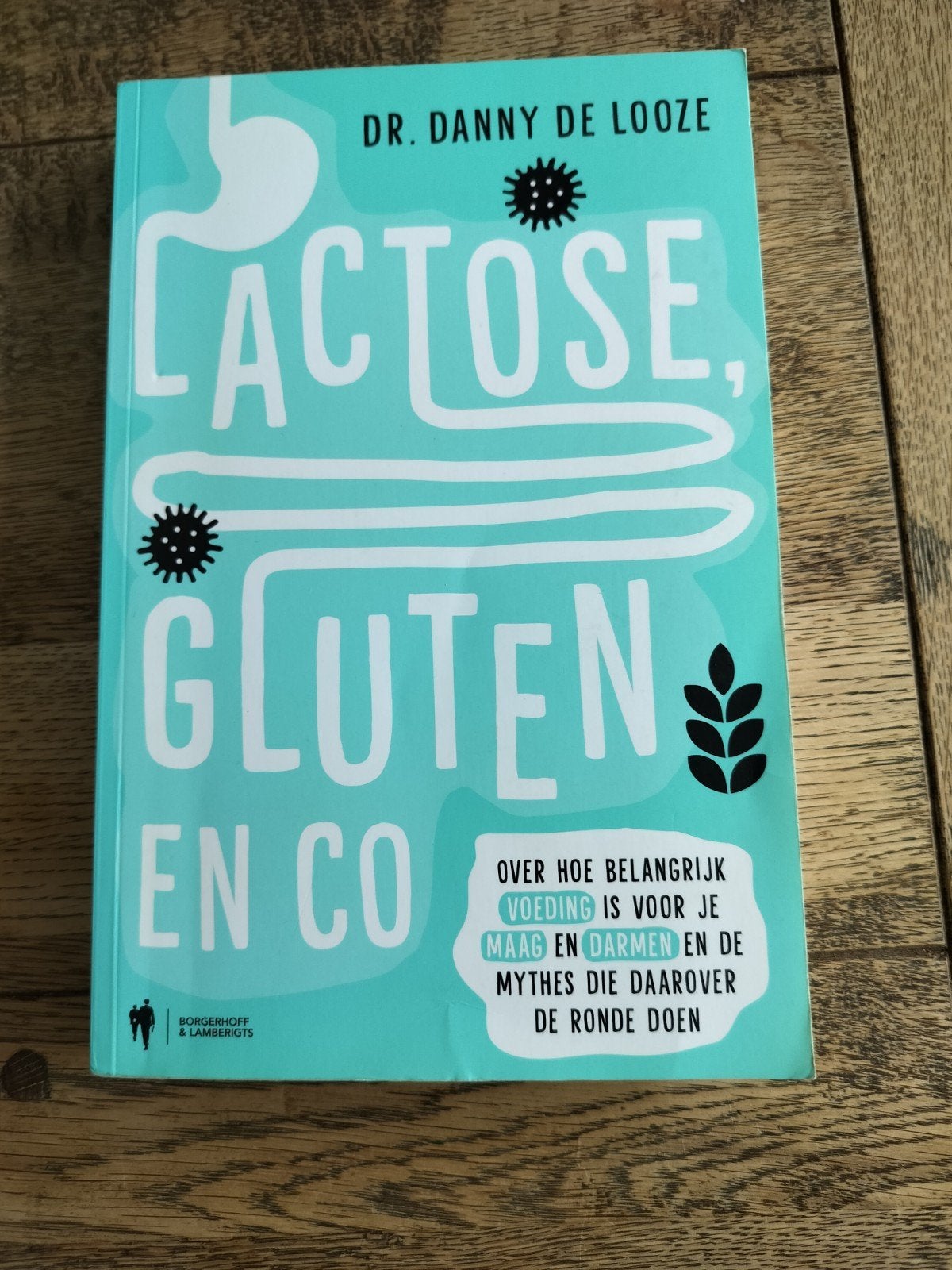 Lactose en gluten, Livres, Santé, Diététique & Alimentation, Enlèvement ou Envoi