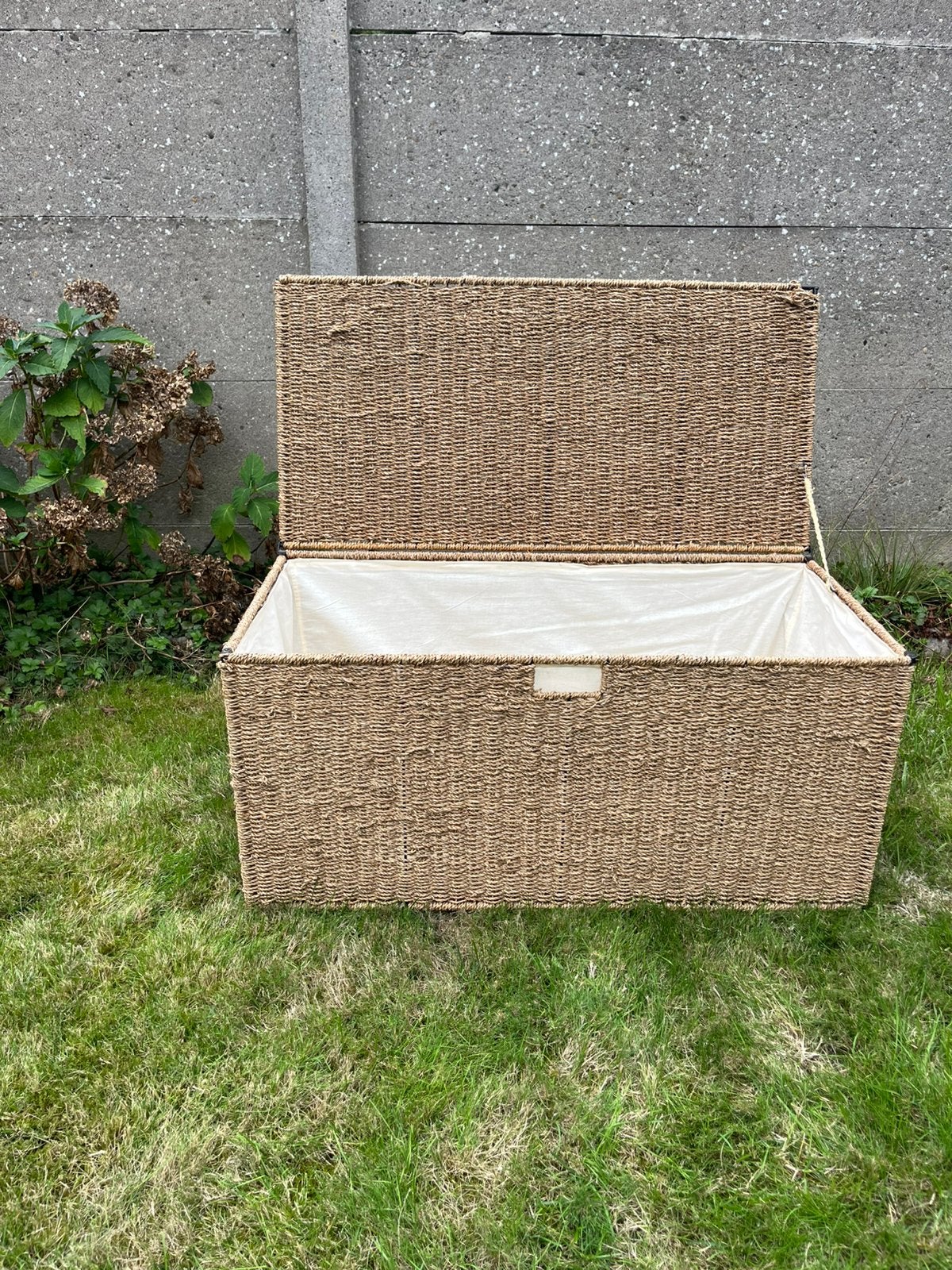 2 x rotan kist/mand, Ophalen, Gebruikt, Mand
