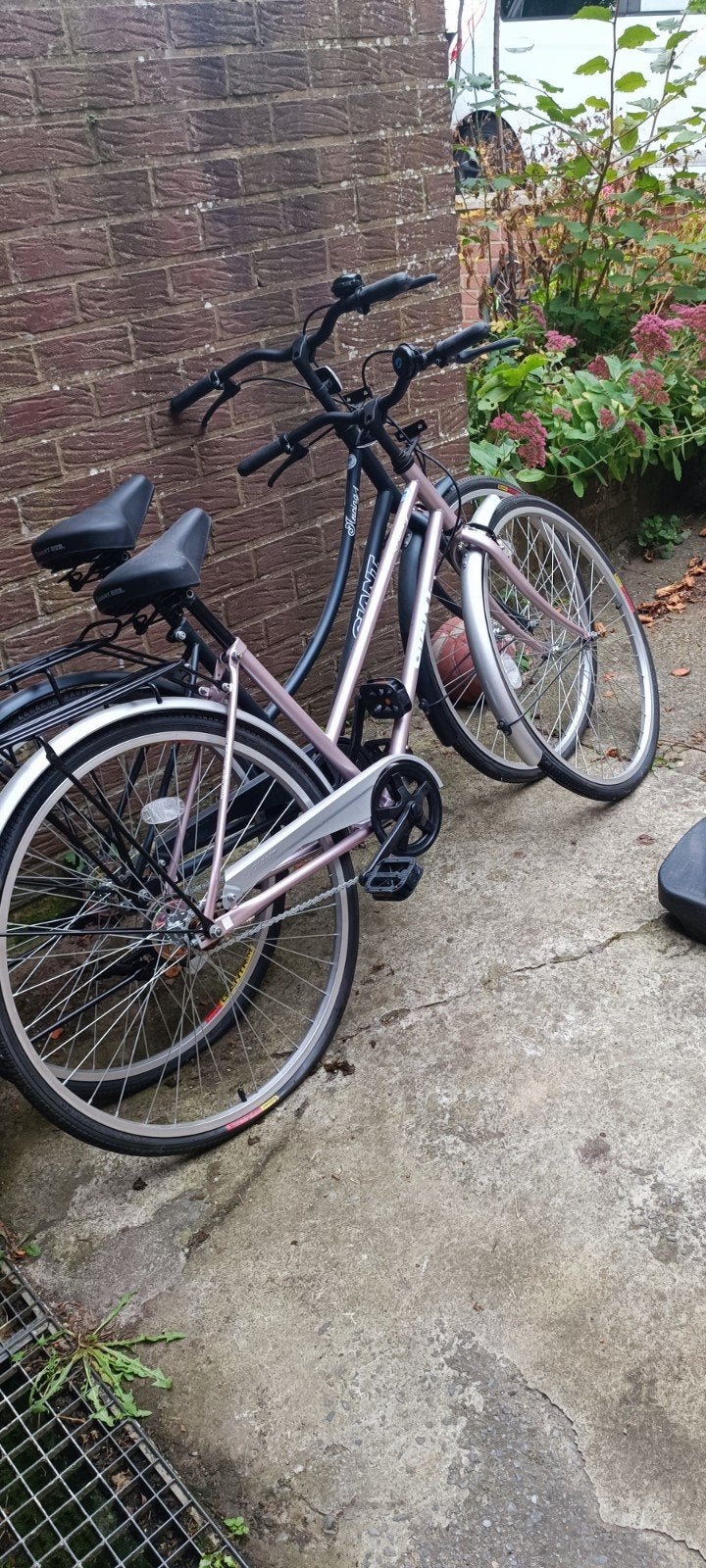 4 vélos neufs, Vélos & Vélomoteurs, Enlèvement