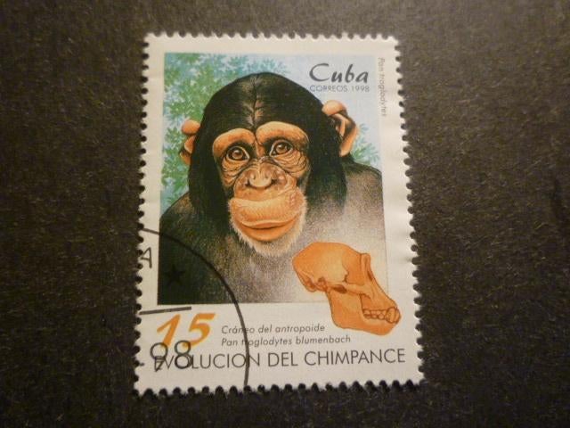 Cuba 1998 Mi 4107(o) Gestempeld/Oblitéré, Verzenden