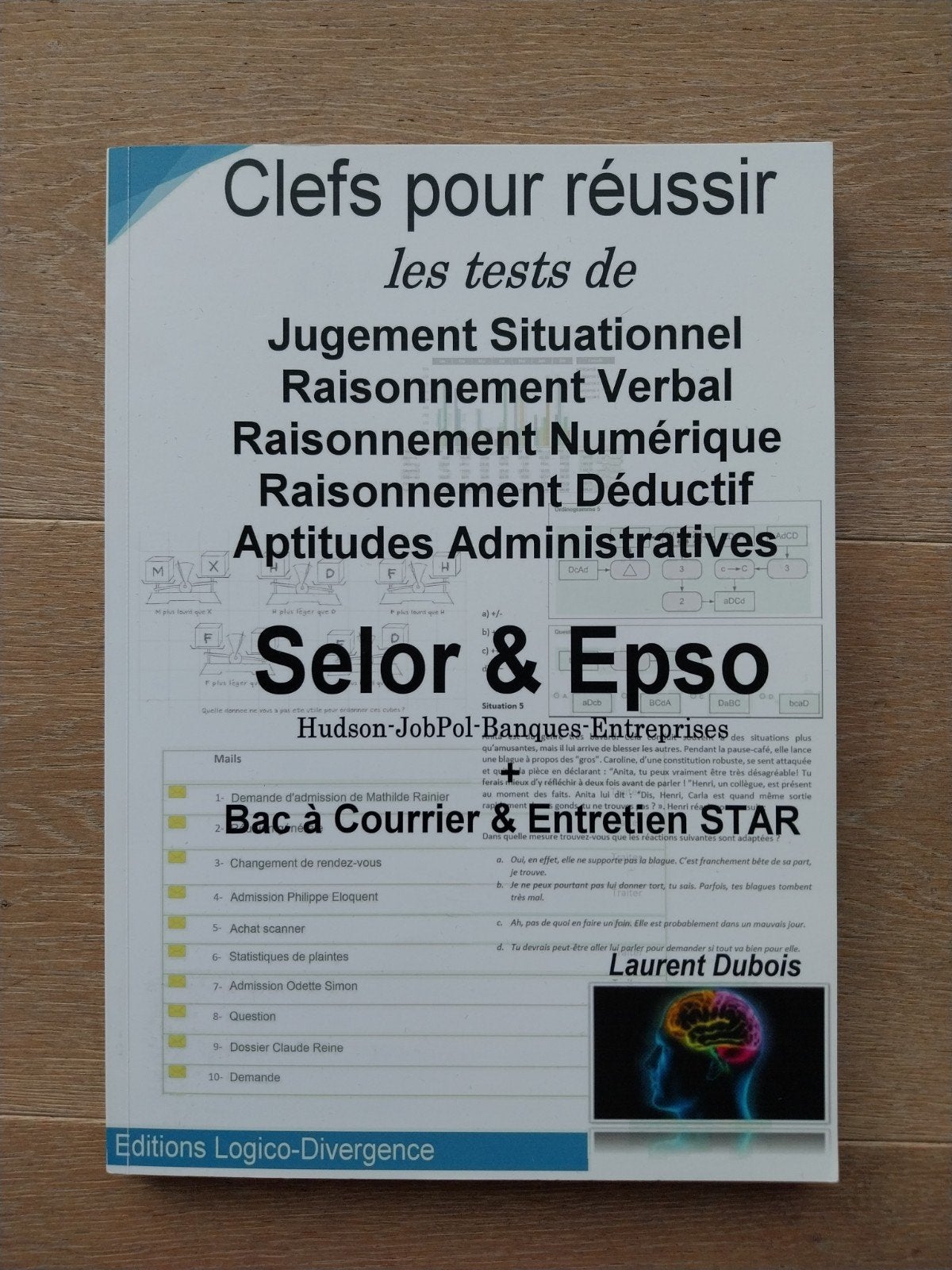 Livre de préparation Selor et Epso avec tests, Boeken, Ophalen, Zo goed als nieuw, Laurent Dubois