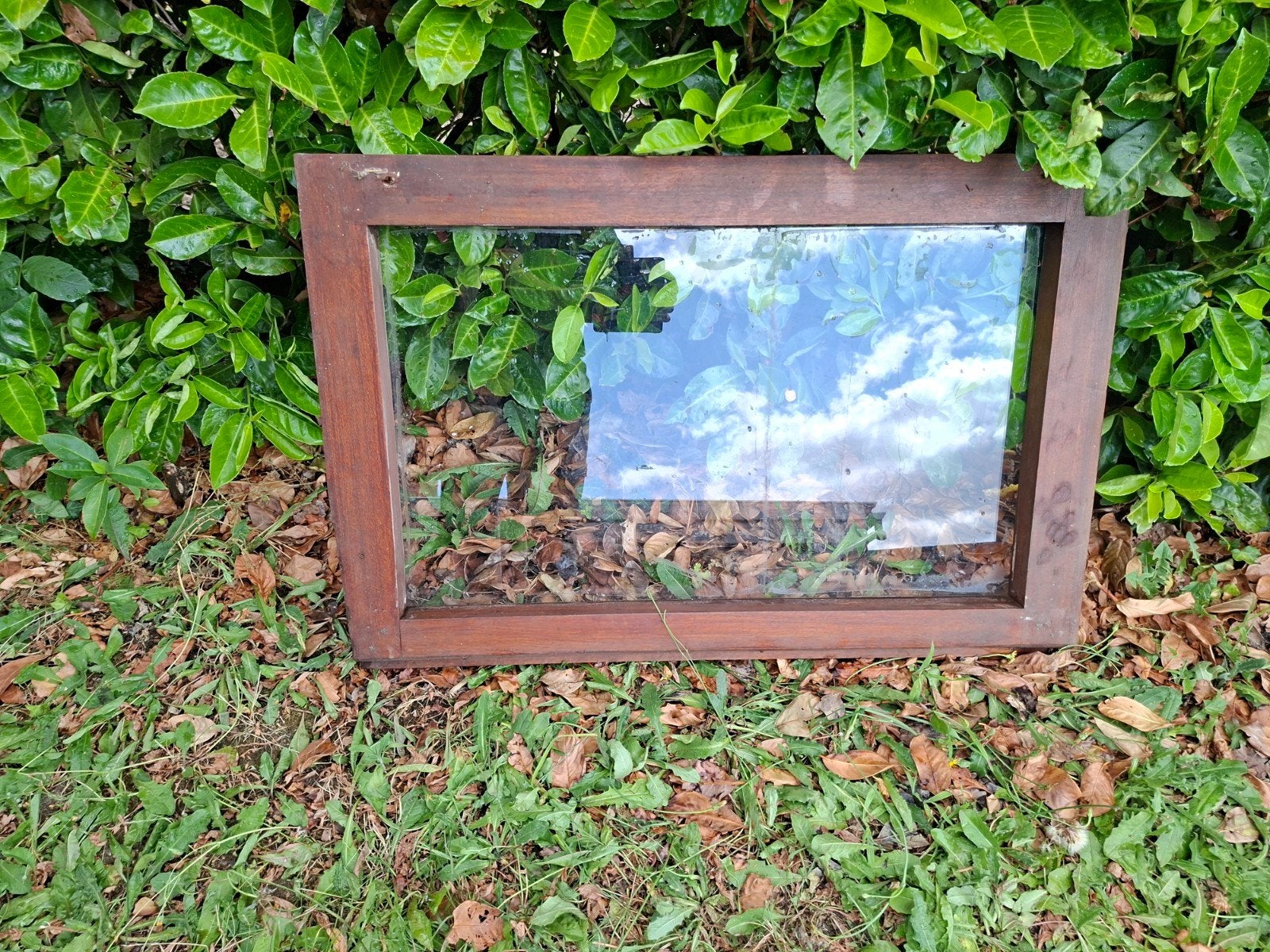 Raam Meranti, enkel glas, Ophalen