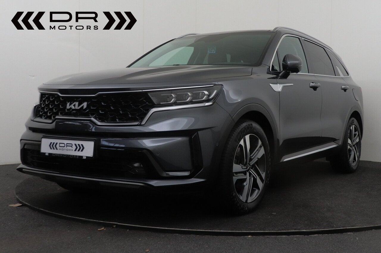 Kia Sorento Pace 1.6 HEV 2WD AT (Active Hybrid), Auto's, 0 kg, 5 zetels, Hybride Elektrisch/Benzine, https://public.car-pass.be/vhr/3f390861-03b8-4a22-ba83-4c142590de9c