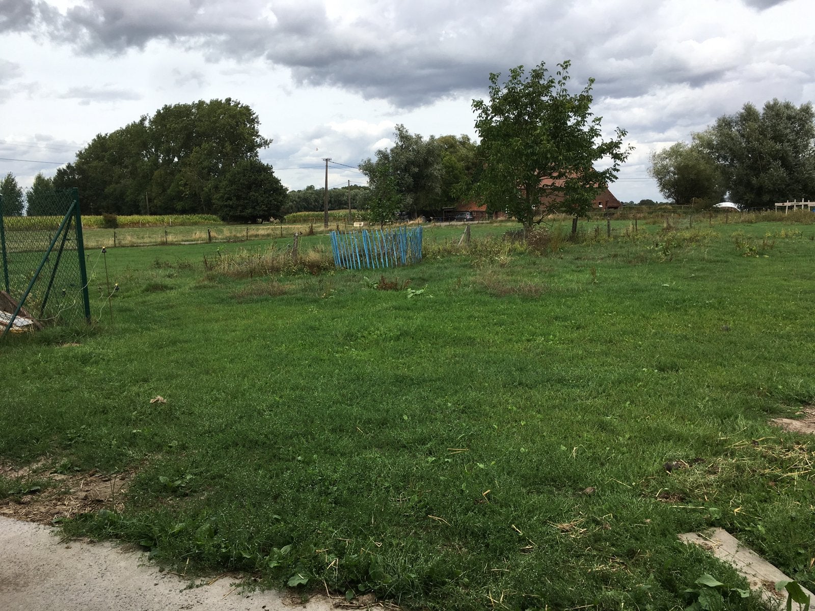 Prairie pour chevaux a louer 120 €, Animaux & Accessoires