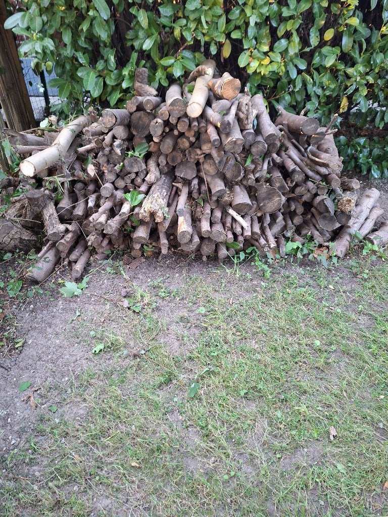 BOIS DE CHAUFFAGE, Moins de 3 m³, Enlèvement, Autres essences de bois, Branches