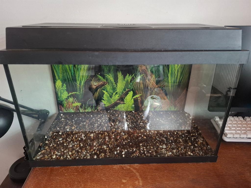 Juwel 70 aquarium met eheim buitenfilter, Enlèvement, Utilisé, Aquarium d'eau douce rempli, Eheim