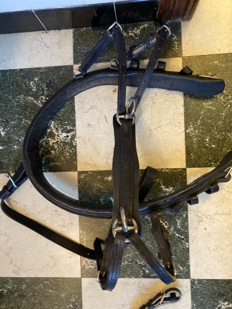 Pony tuig, Dieren en Toebehoren, Paarden en Pony's | Hoofdstellen en Tuigage, Ophalen, Nieuw