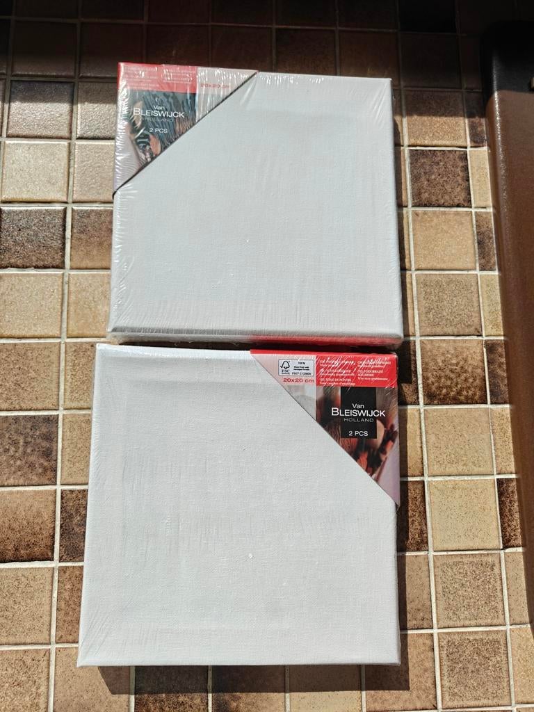 4 schildersdoeken 20 op 20 cm, Hobby en Vrije tijd, Schilderen, Ophalen of Verzenden