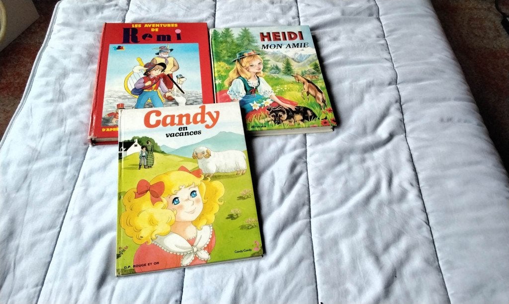 Heidi mon amie, Livres, Enlèvement ou Envoi, Utilisé, Fiction général