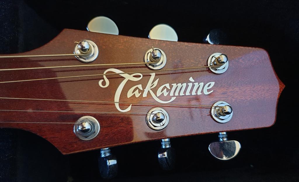 "Takamine EF261s an" made in Japan, Musique & Instruments, Instruments | Pièces, Enlèvement