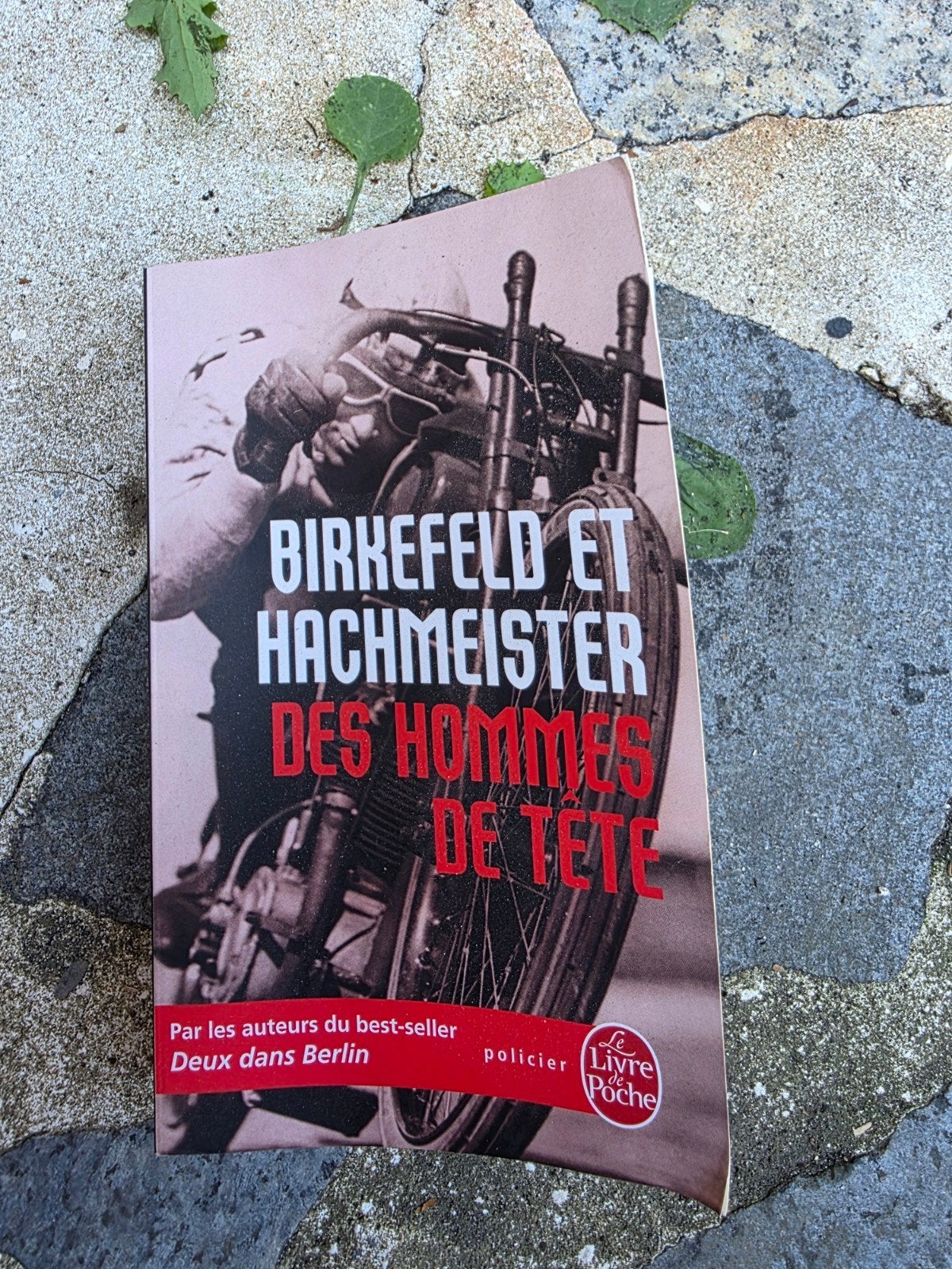 Livre des hommes de tête, Livres, Essais, Chroniques & Interviews, Enlèvement