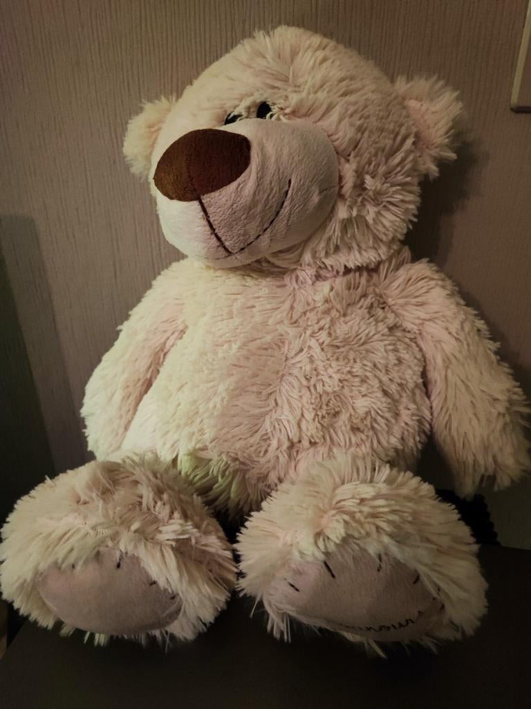 Ours en peluche blanc, Enlèvement