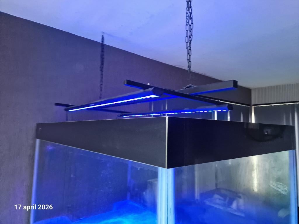Groot zeeaquarium, Ophalen, Verwarming, Reef Factory