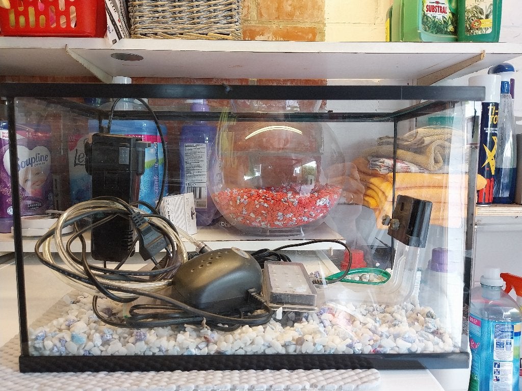gratis aquarium + benodigdheden, Ophalen, Filter
