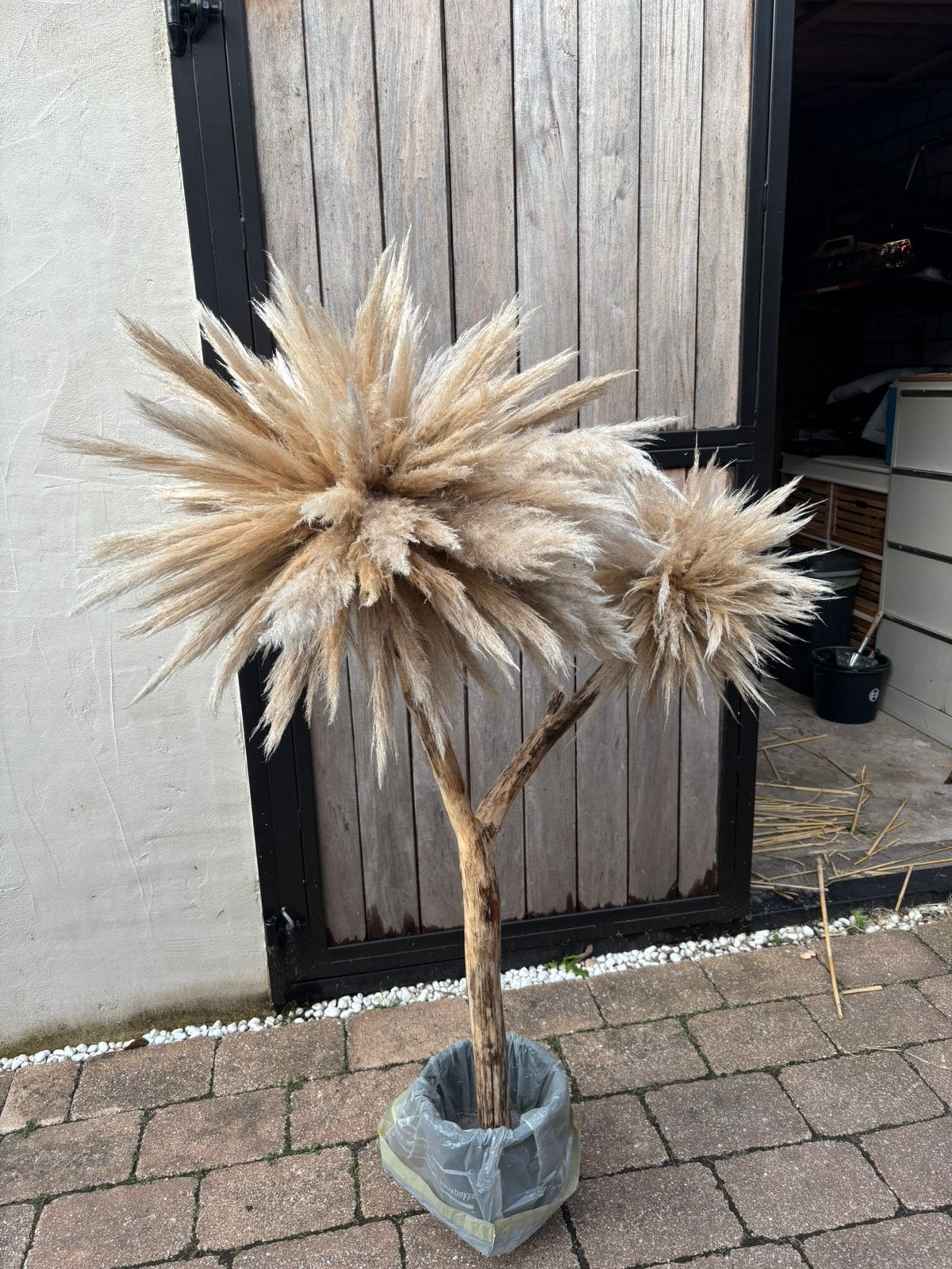 Pampa’s pluim boom, Huis en Inrichting, Ophalen of Verzenden, Zo goed als nieuw, Binnen, Handgemaakt