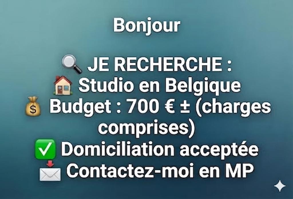 IK BEN OP ZOEK NAAR STUDIO BELGIUM, Immo, Appartementen en Studio's te huur