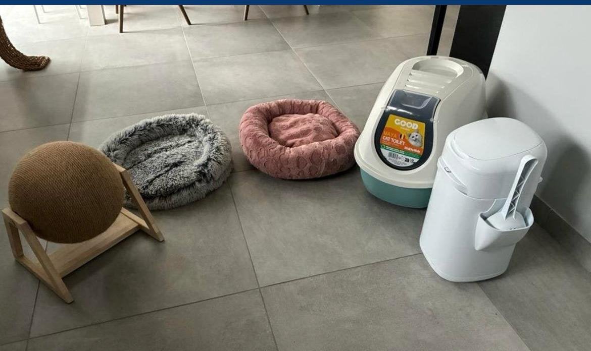 Accessoires pour chat (vendus en lot), Enlèvement, Comme neuf