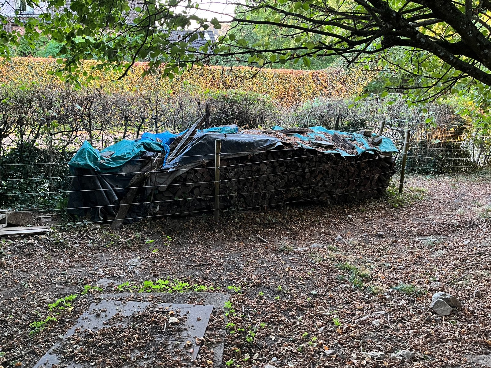 Bois de chauffage entre 40 cm et 50 cm, Enlèvement, Comme neuf
