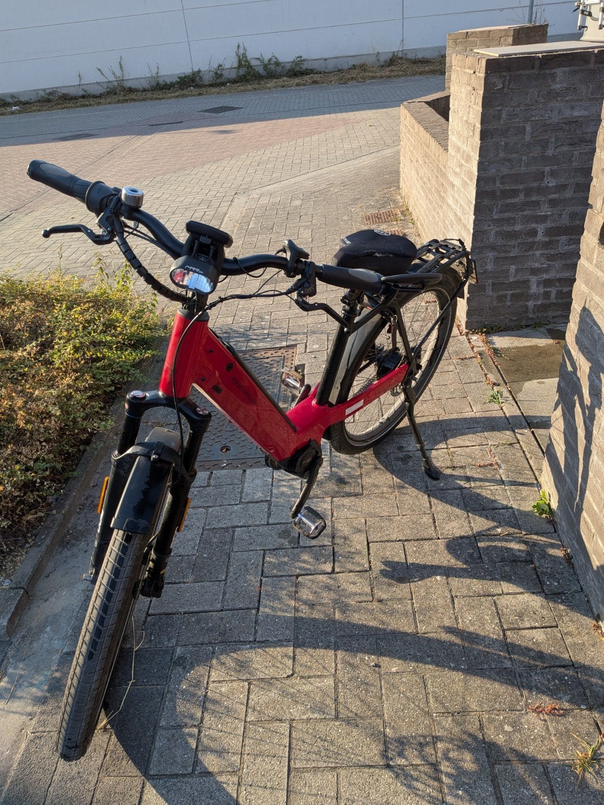 speedpedelec riese en muller, Fietsen en Brommers, Ophalen, Riese Muller