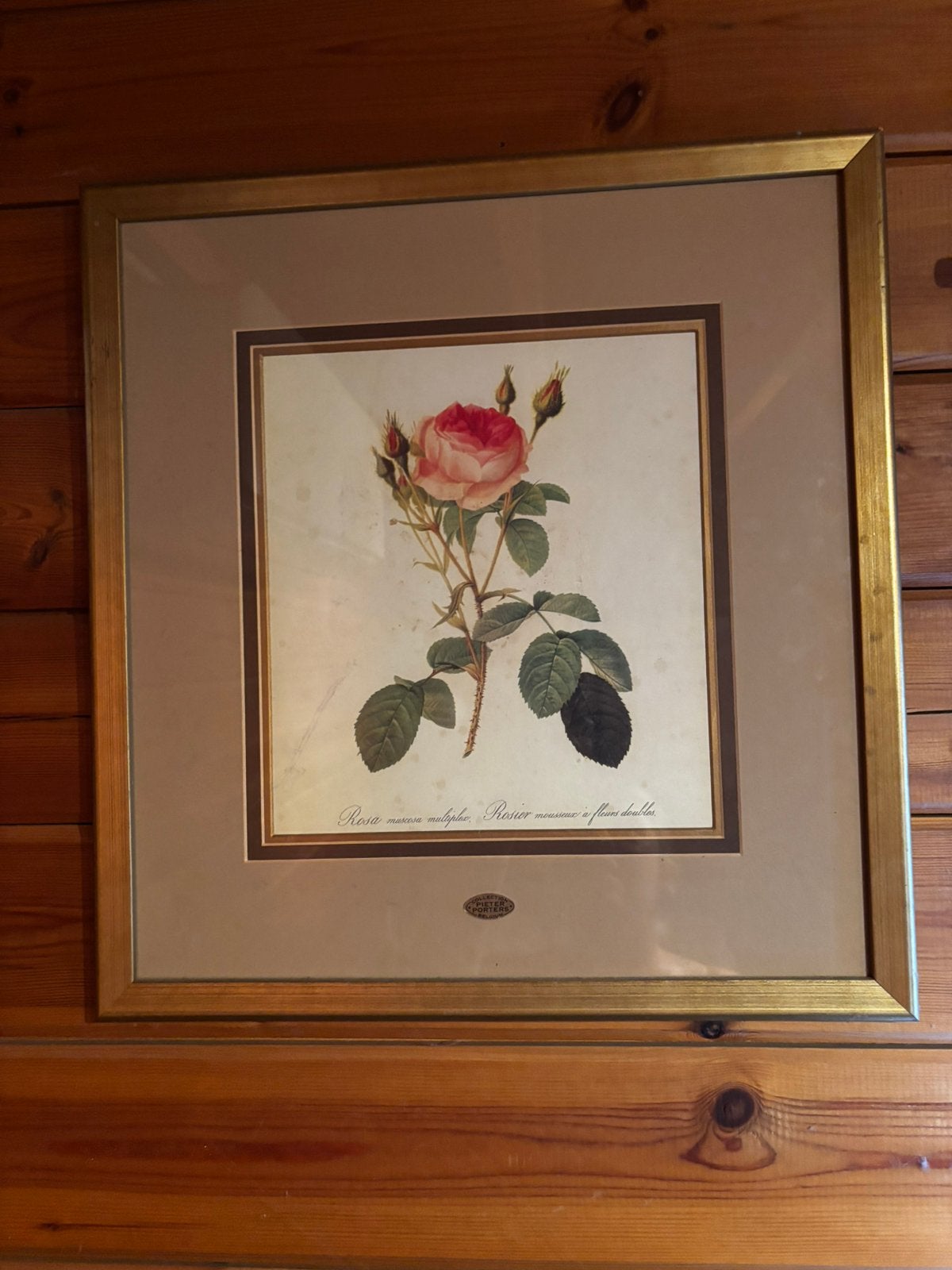 Schilderijen, Antiek en Kunst, Ophalen