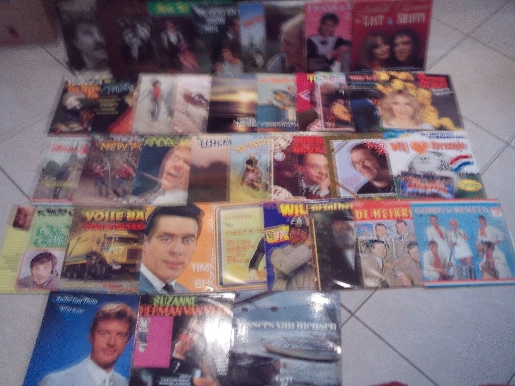 37 Prima Nederlandstalige LP's - jaren 60-70-80, Cd's en Dvd's, Ophalen of Verzenden, Zo goed als nieuw, LP