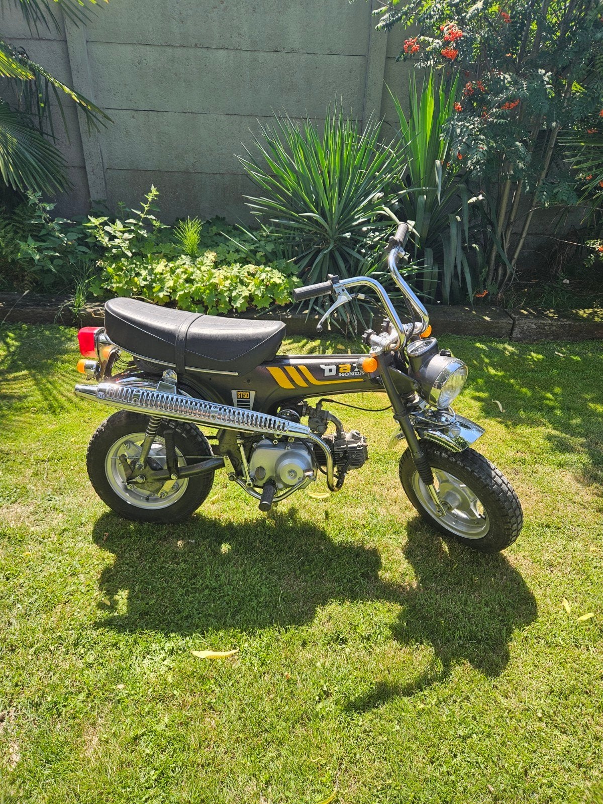 originele Honda dax 50cc, Ophalen, Gebruikt, Overige modellen, 49 cc