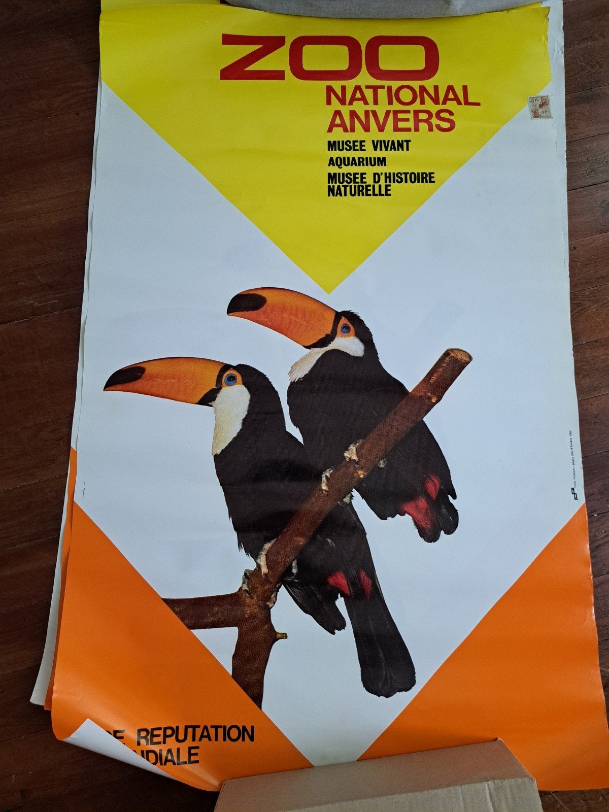 Poster/affiche zoo antwerpen, Ophalen, Poster