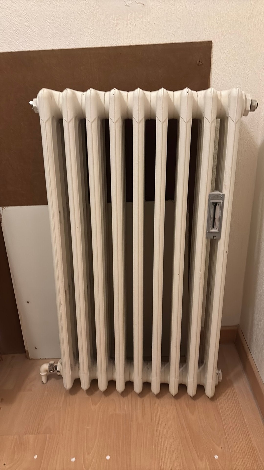 Radiator gietijzer, Doe-het-zelf en Bouw, Ophalen, Radiator