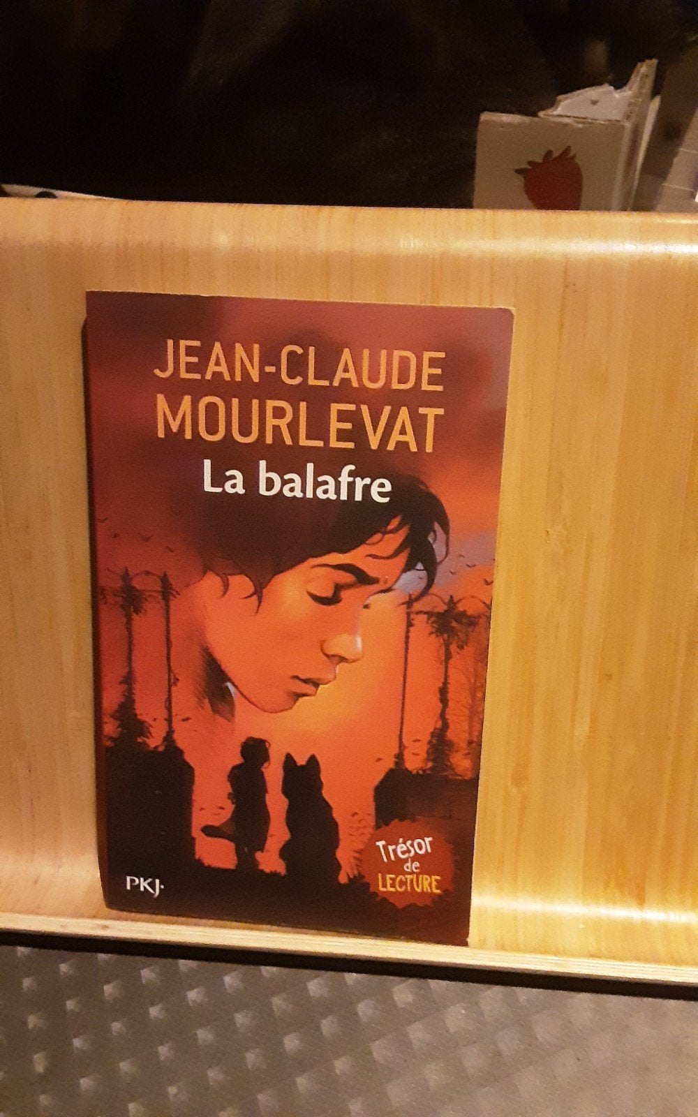 la   balafre boek, Boeken, Ophalen of Verzenden, Zo goed als nieuw, Jean claude mourlevat