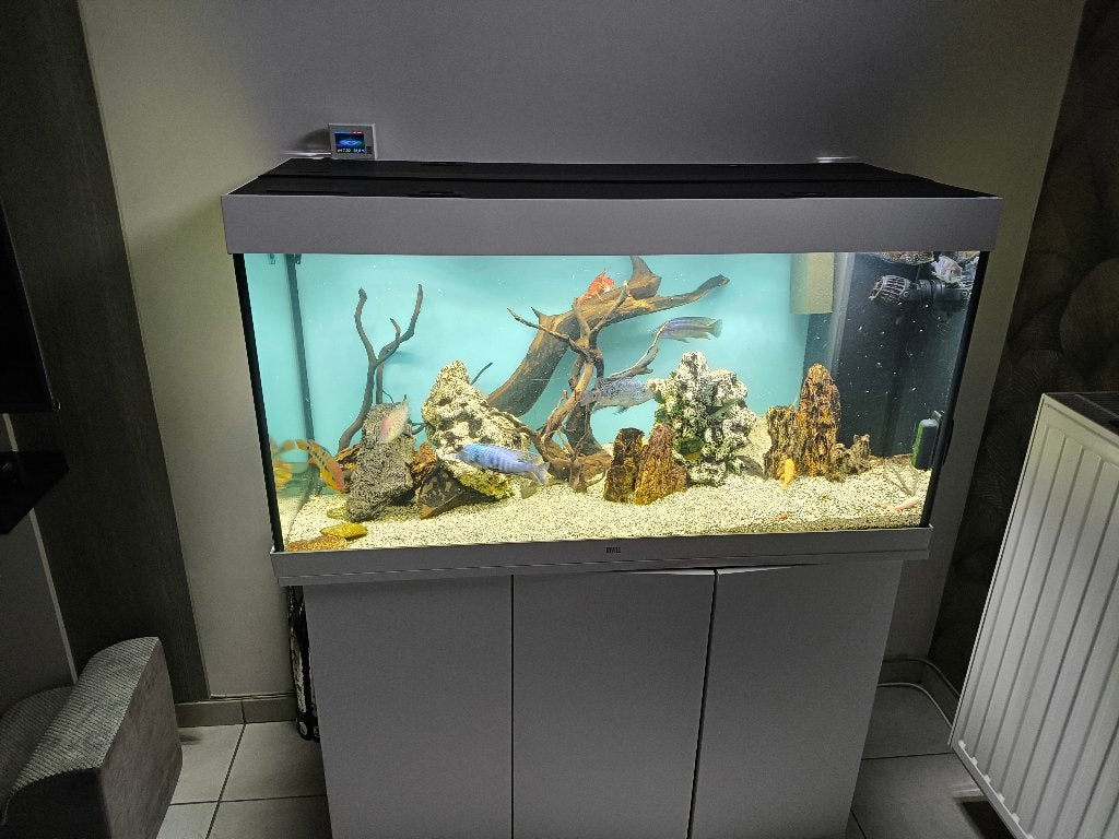 Aquarium Juwel 350L, Animaux & Accessoires, Poissons inclus, Aquarium d'eau douce rempli, Enlèvement, Utilisé