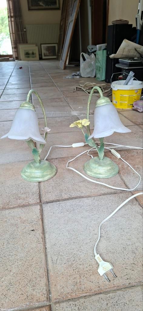 Lampes fleur, Enlèvement