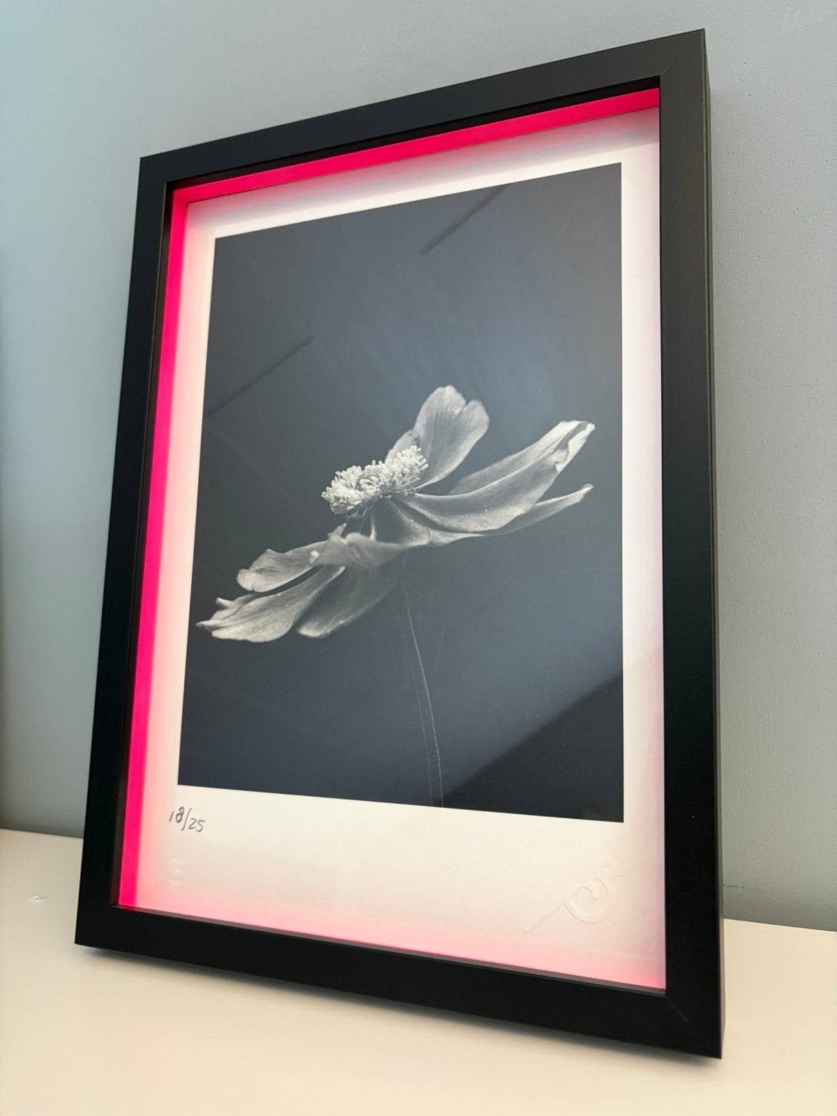 Groene Duif | Fotografie print Anemone 18/25, Antiek en Kunst, Ophalen, Foto, Fotografie, Genummerd