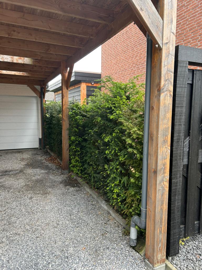 Taxus 1.80 hoog, Ophalen