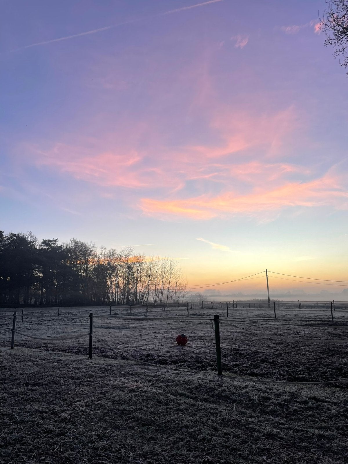 Weide met stal te huur