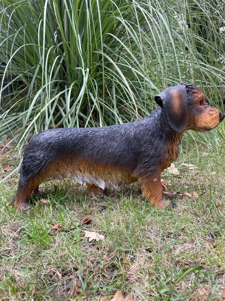 Beeld teckel, tekkel, hond, tuin, gazon 50cm, Ophalen, Nieuw, Kunststof, Dierenbeeld