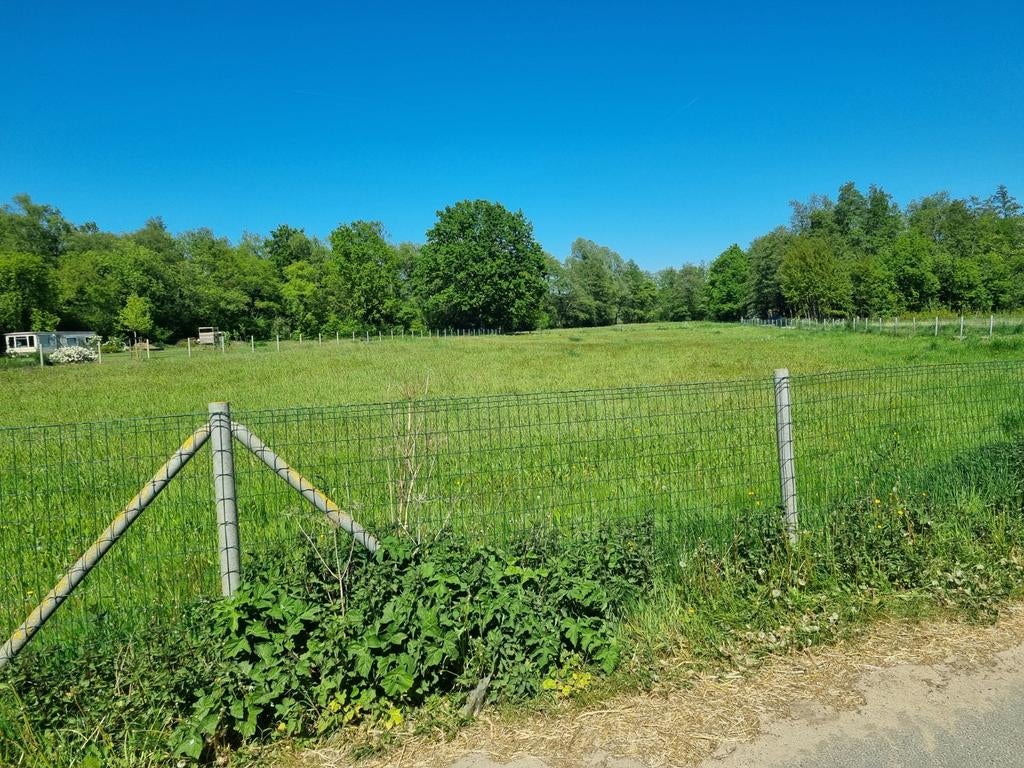 Weide te huur in Viersel – 9090 m² – volledig omheind – dire, Dieren en Toebehoren, Stalling en Weidegang