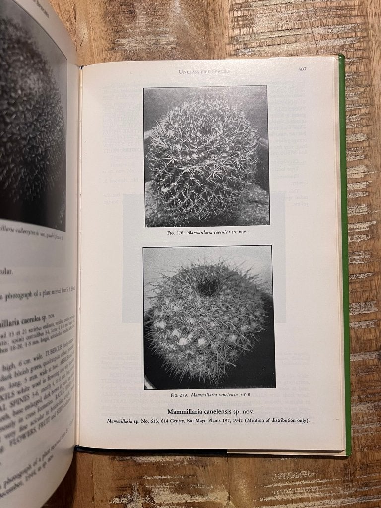 The Mammillaria Handbook - Robert T. Craig, Boeken, Gelezen, Bloemen, Planten en Bomen, Robert T. Craig, Ophalen of Verzenden