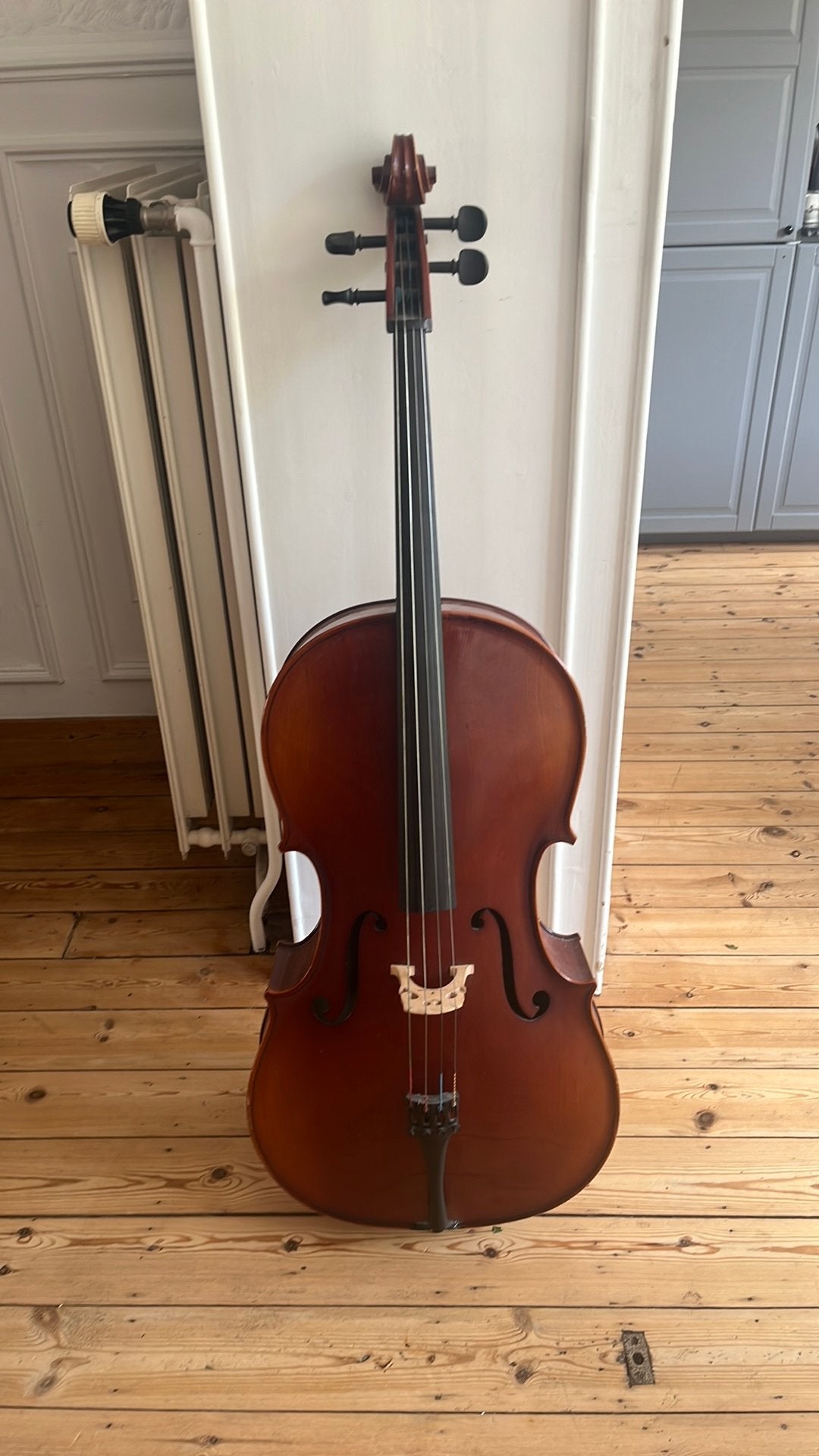 Violoncelle d’etude ancien 4/4 - Hora Reghin (Années 80), Musique & Instruments, Enlèvement, Comme neuf