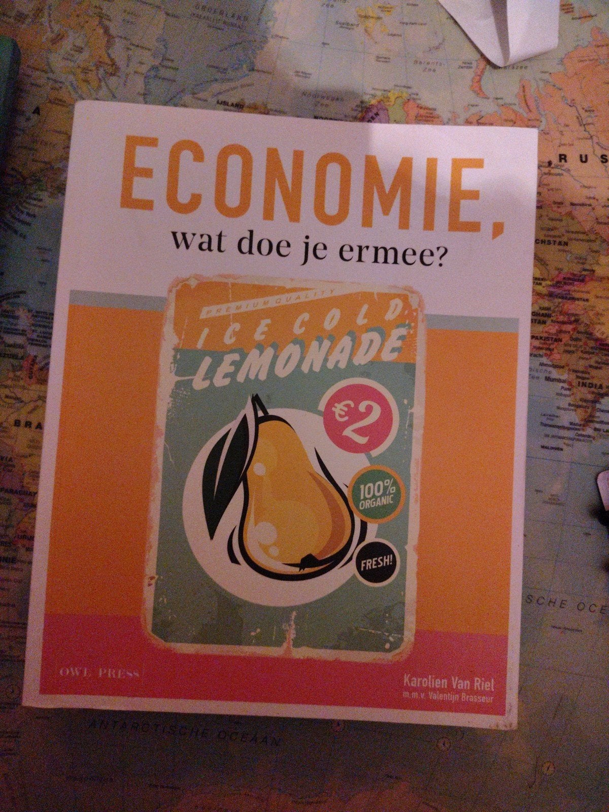 Karolien Van Riel - Economie wat doe je ermee?, Ophalen of Verzenden, Karolien Van Riel; Valentijn Brasseur