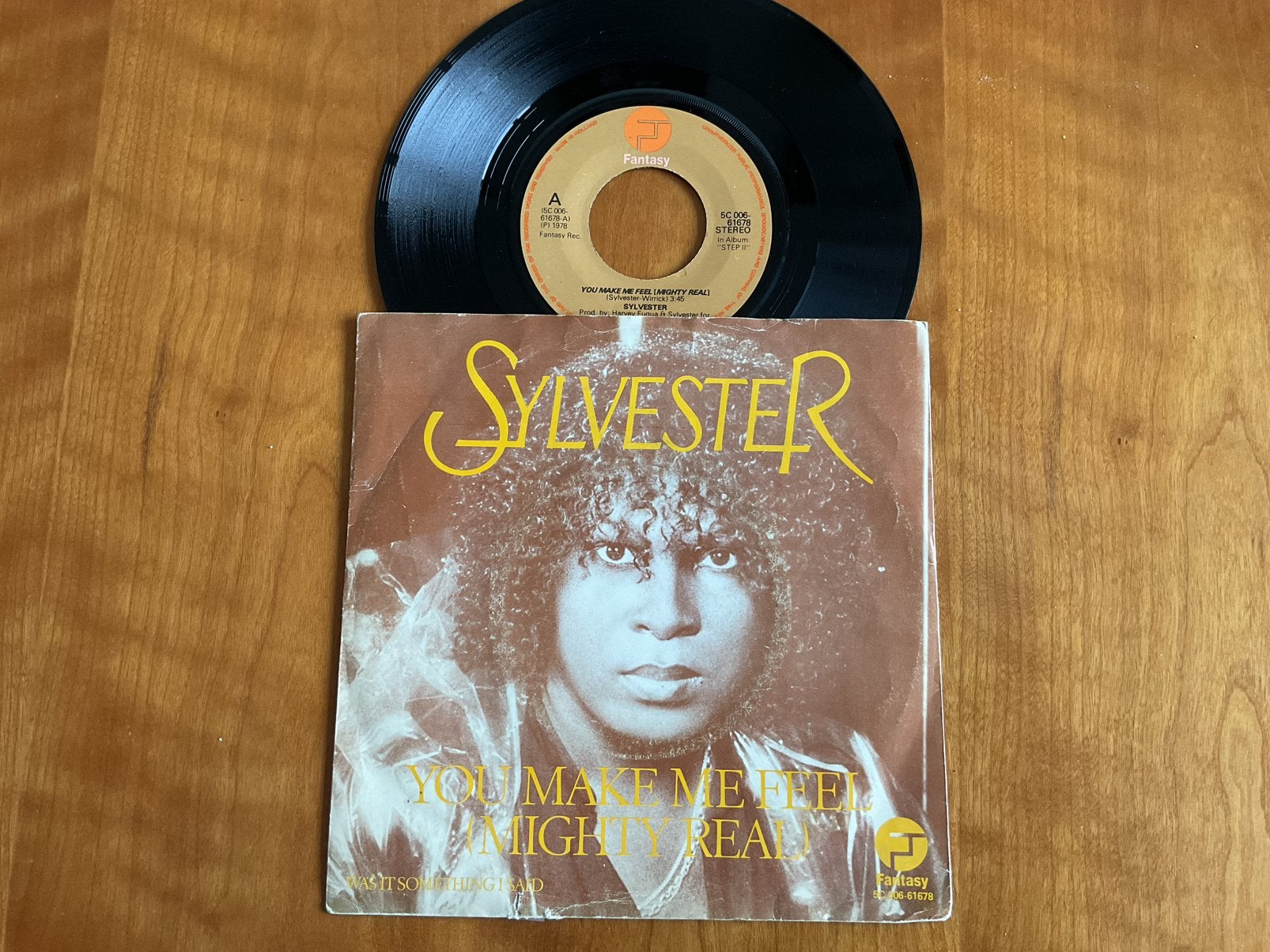 Sylvester - You Make Me Feel ( mighty real ), Cd's en Dvd's, Vinyl Singles, Ophalen of Verzenden, Gebruikt