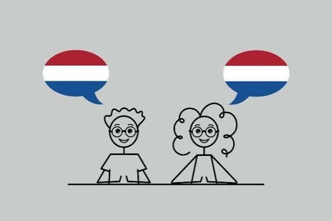 Cours de néerlandais, Enlèvement ou Envoi, Neuf
