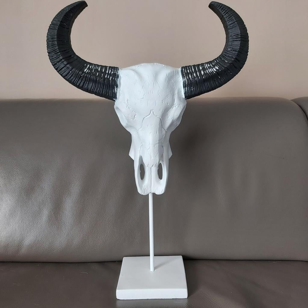 Buffel schedel 47 cm, Enlèvement
