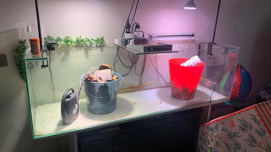 Groot aquarium ~ 290 liter, Dieren en Toebehoren, Ophalen, Gebruikt, Leeg aquarium