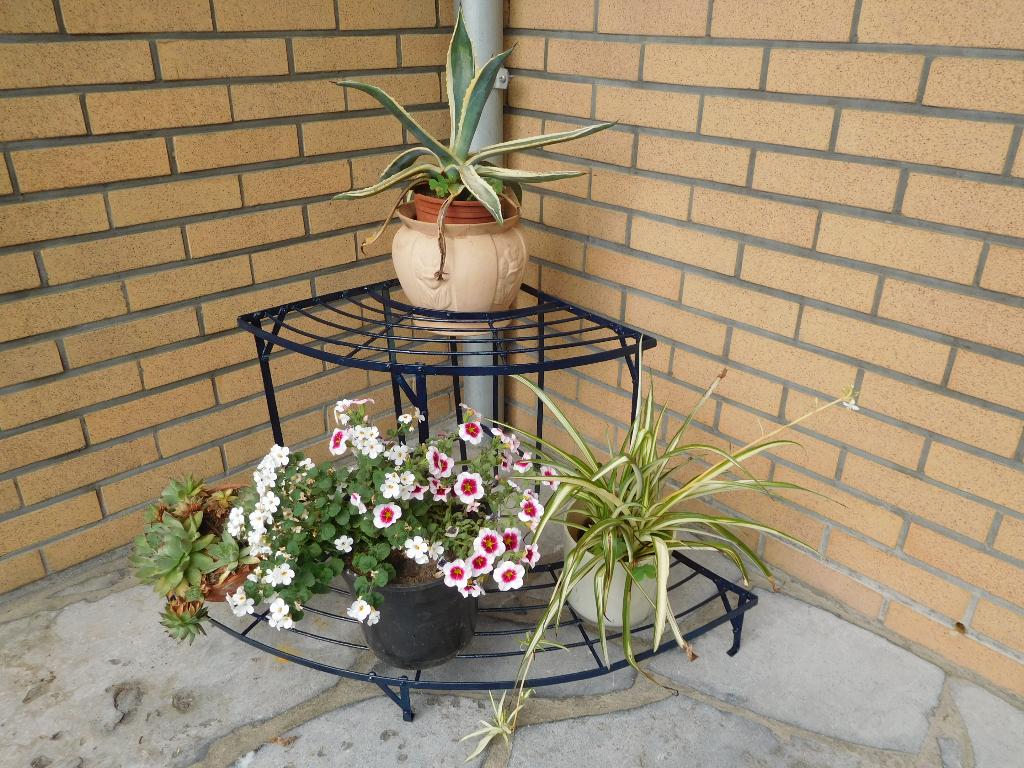 planten rek  in hoek vorm, Ophalen