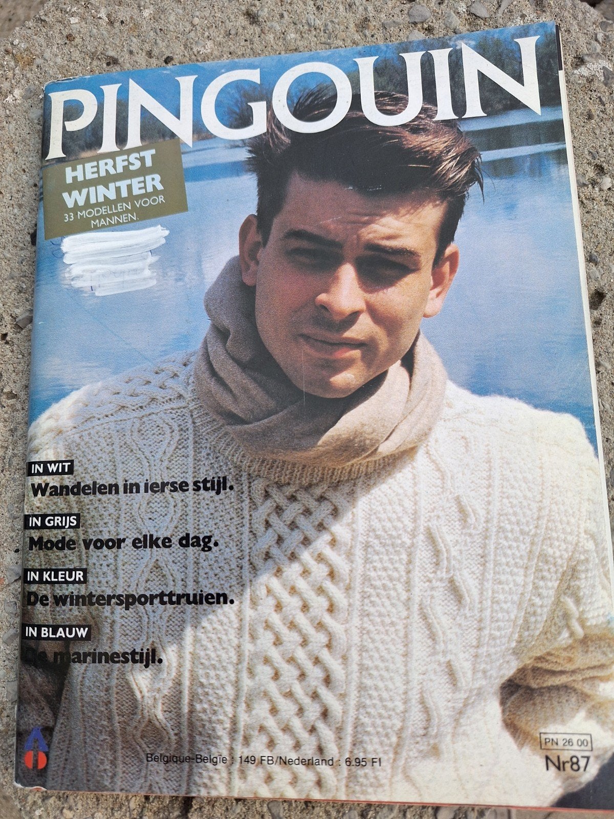 Breiboek Pingouin voor mannen, Hobby & Loisirs créatifs, Tricot & Crochet, Enlèvement ou Envoi, Comme neuf, Tricot ou Crochet