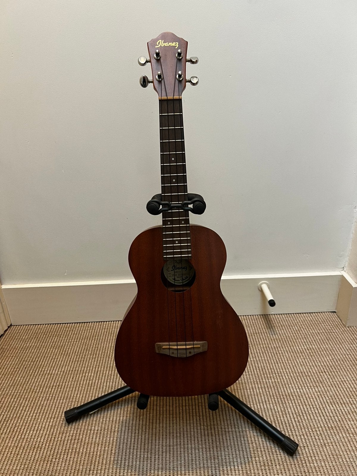 Ibanez ukulele + staander + draagtas, Musique & Instruments, Instruments à corde | Guitares | Acoustiques, Enlèvement, Comme neuf