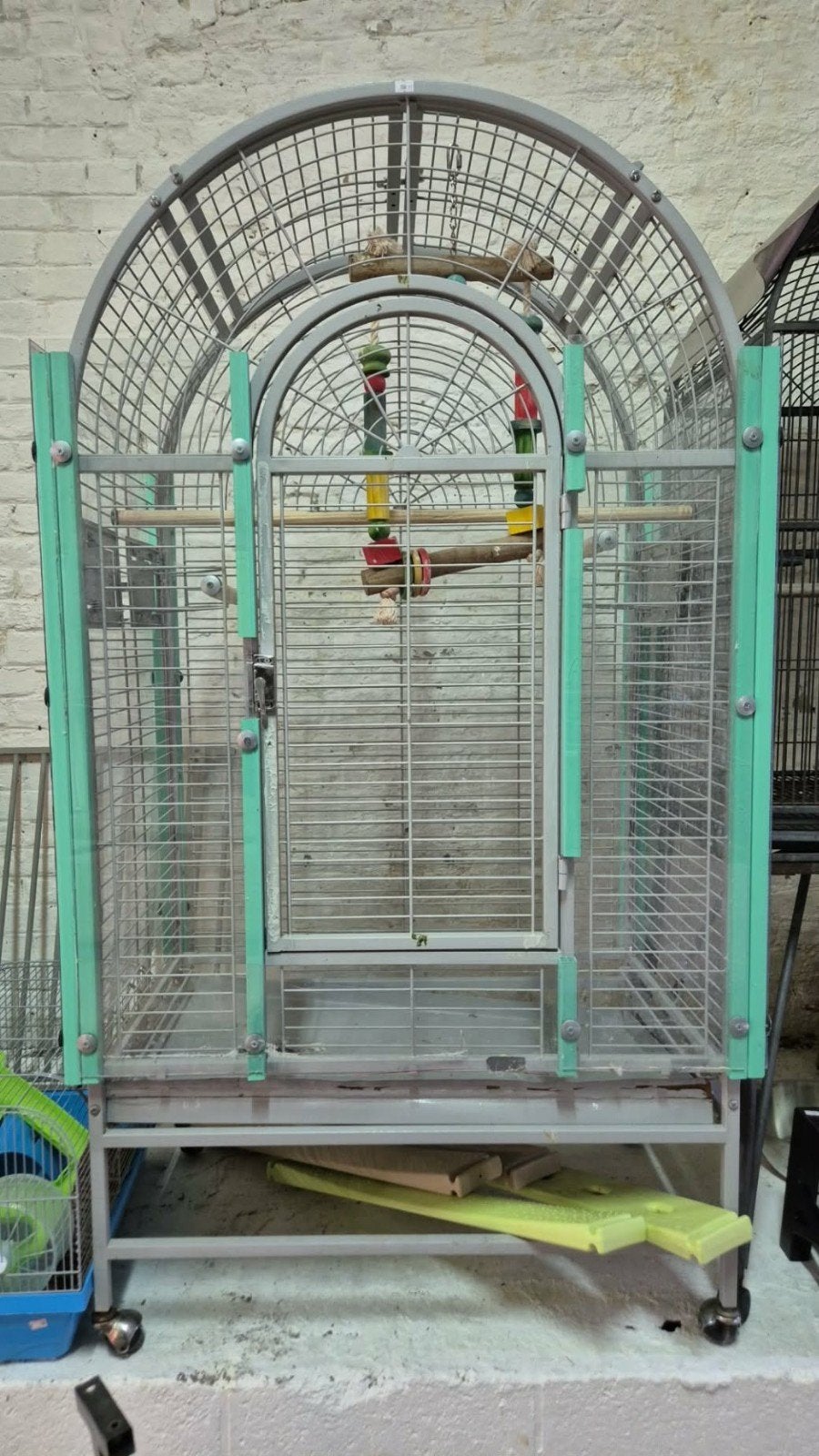 Grande cage perroquet, Enlèvement